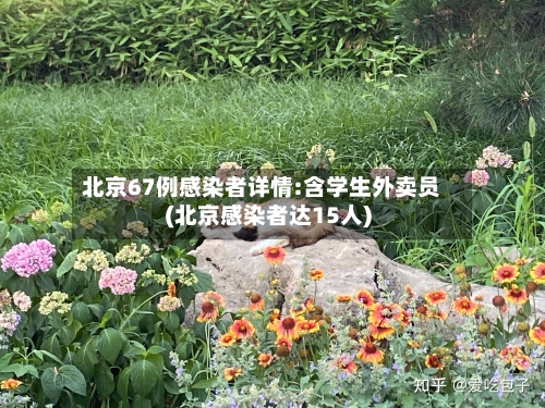 北京67例感染者详情:含学生外卖员(北京感染者达15人)-第2张图片