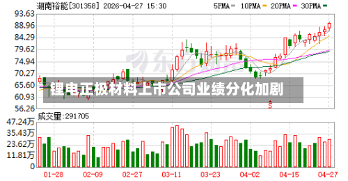 锂电正极材料上市公司业绩分化加剧