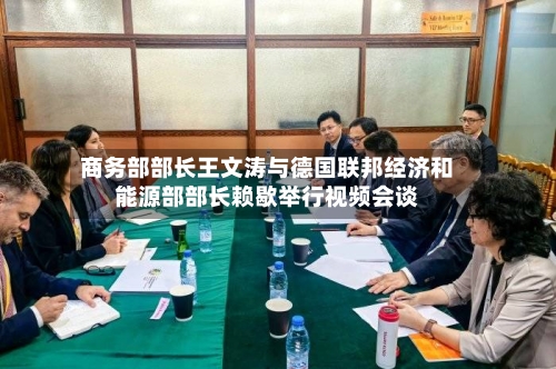 商务部部长王文涛与德国联邦经济和能源部部长赖歇举行视频会谈-第2张图片