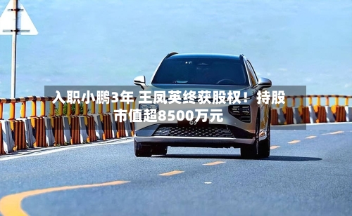 入职小鹏3年 王凤英终获股权！持股市值超8500万元