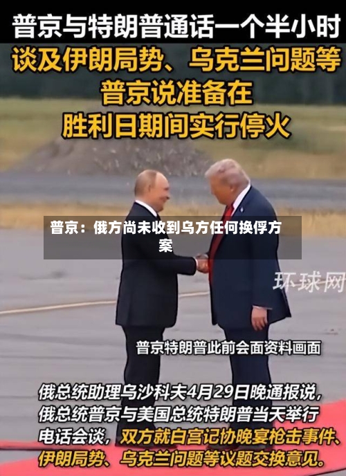 普京：俄方尚未收到乌方任何换俘方案-第2张图片