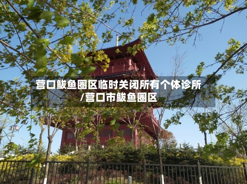 营口鲅鱼圈区临时关闭所有个体诊所/营口市鲅鱼圈区-第2张图片
