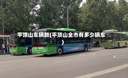 平顶山车辆数(平顶山全市有多少辆车)-第2张图片