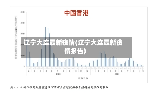 辽宁大连最新疫情(辽宁大连最新疫情报告)-第2张图片