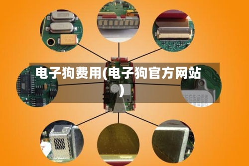 电子狗费用(电子狗官方网站)-第2张图片