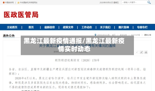 黑龙江最新疫情通报/黑龙江最新疫情实时动态-第2张图片