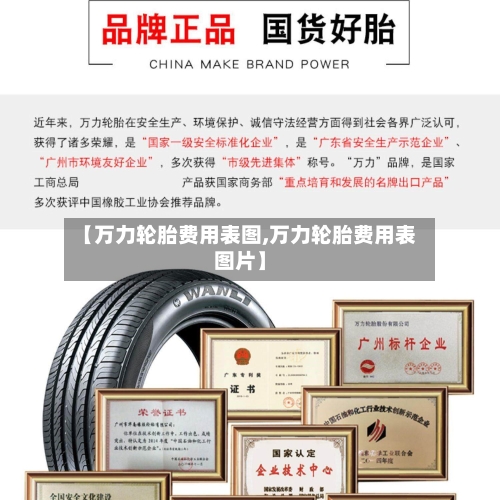 【万力轮胎费用表图,万力轮胎费用表图片】-第2张图片