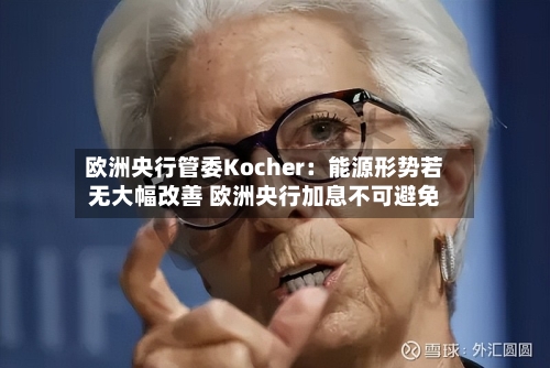 欧洲央行管委Kocher：能源形势若无大幅改善 欧洲央行加息不可避免-第2张图片