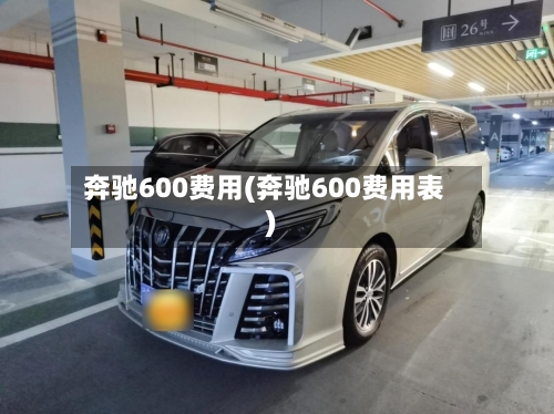 奔驰600费用(奔驰600费用表)