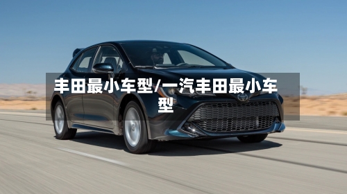 丰田最小车型/一汽丰田最小车型-第2张图片