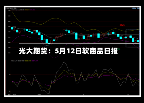 光大期货：5月12日软商品日报