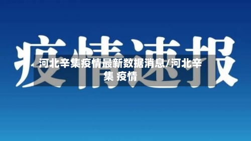 河北辛集疫情最新数据消息/河北辛集 疫情-第2张图片