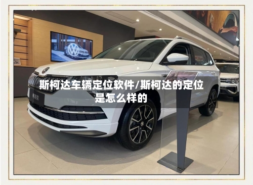 斯柯达车辆定位软件/斯柯达的定位是怎么样的-第3张图片
