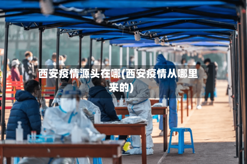 西安疫情源头在哪(西安疫情从哪里来的)-第2张图片