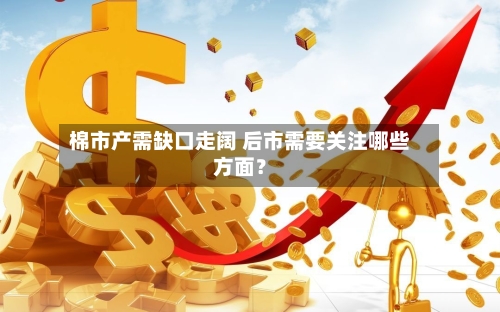 棉市产需缺口走阔 后市需要关注哪些方面?-第2张图片