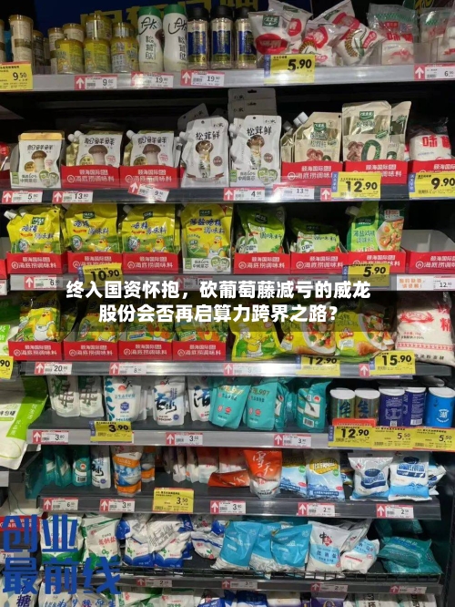 终入国资怀抱，砍葡萄藤减亏的威龙股份会否再启算力跨界之路？