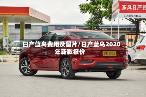 日产蓝鸟费用及图片/日产蓝鸟2020年新款报价