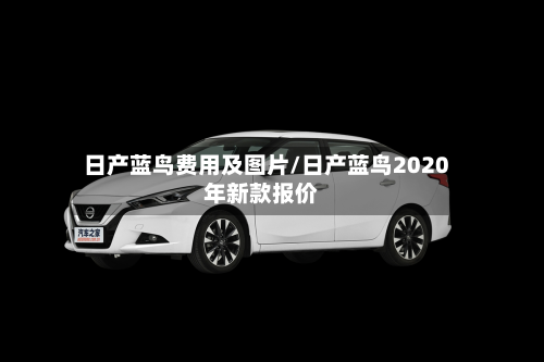 日产蓝鸟费用及图片/日产蓝鸟2020年新款报价-第2张图片