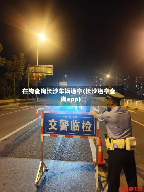在线查询长沙车辆违章(长沙违章查询app)-第2张图片