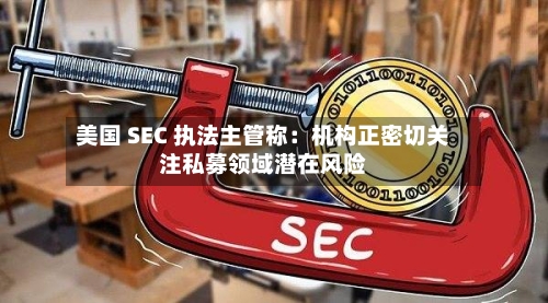 美国 SEC 执法主管称:机构正密切关注私募领域潜在风险-第2张图片