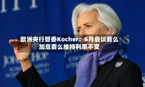 欧洲央行管委Kocher：6月会议要么加息要么维持利率不变-第2张图片