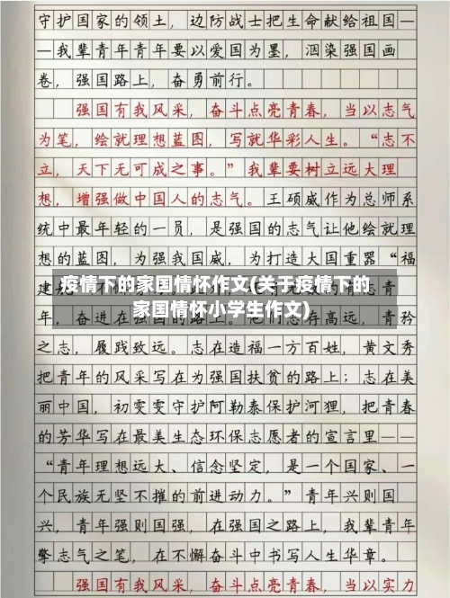 疫情下的家国情怀作文(关于疫情下的家国情怀小学生作文)