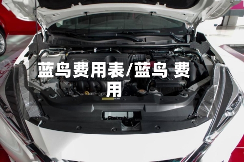 蓝鸟费用表/蓝鸟 费用-第3张图片