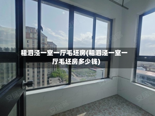 租泗泾一室一厅毛坯房(租泗泾一室一厅毛坯房多少钱)-第2张图片