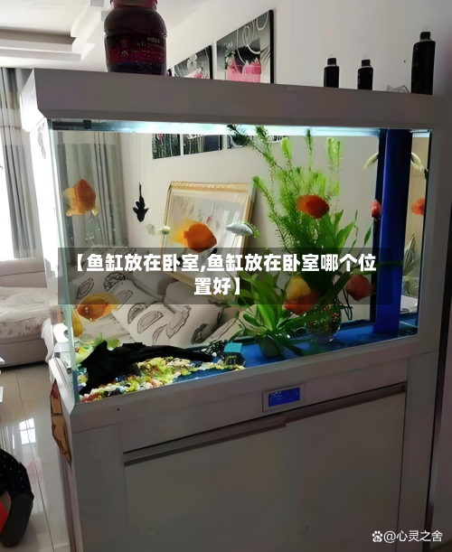 【鱼缸放在卧室,鱼缸放在卧室哪个位置好】-第2张图片