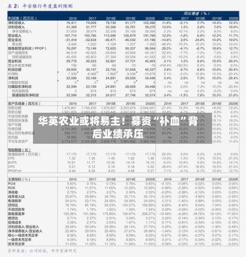 华英农业或将易主！募资“补血	”背后业绩承压-第3张图片