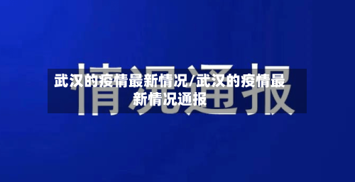 武汉的疫情最新情况/武汉的疫情最新情况通报-第2张图片