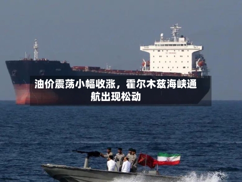 油价震荡小幅收涨，霍尔木兹海峡通航出现松动-第3张图片