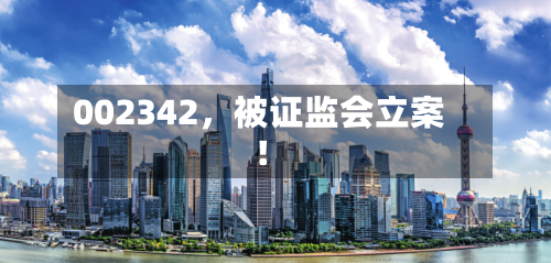 002342，被证监会立案！