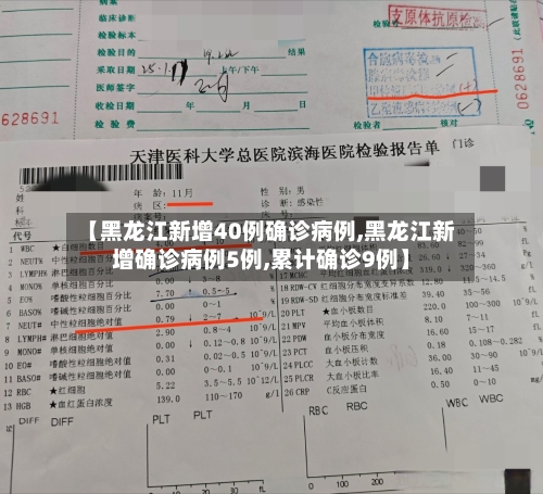 【黑龙江新增40例确诊病例,黑龙江新增确诊病例5例,累计确诊9例】-第2张图片