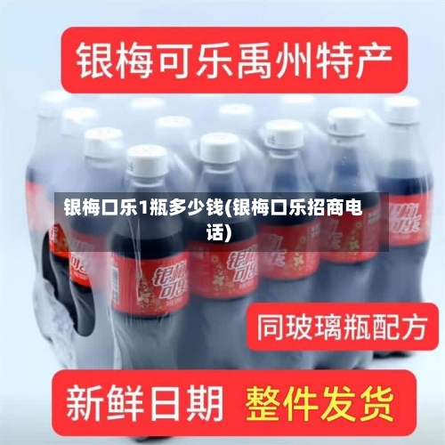 银梅口乐1瓶多少钱(银梅口乐招商电话)