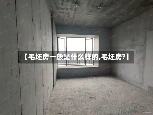 【毛坯房一般是什么样的,毛坯房?】