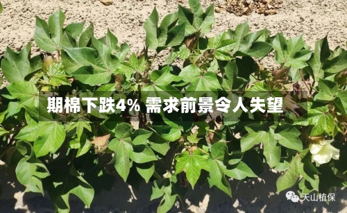 期棉下跌4% 需求前景令人失望-第3张图片
