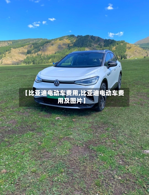 【比亚迪电动车费用,比亚迪电动车费用及图片】-第2张图片