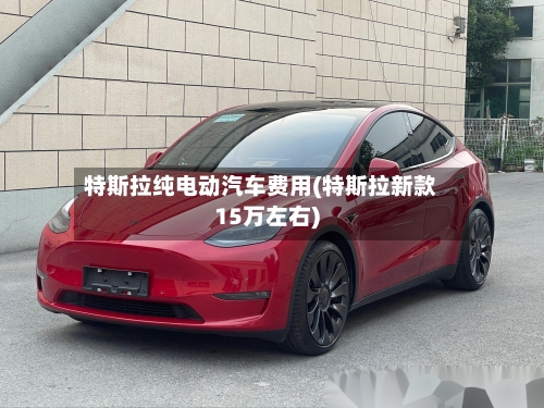 特斯拉纯电动汽车费用(特斯拉新款15万左右)-第2张图片