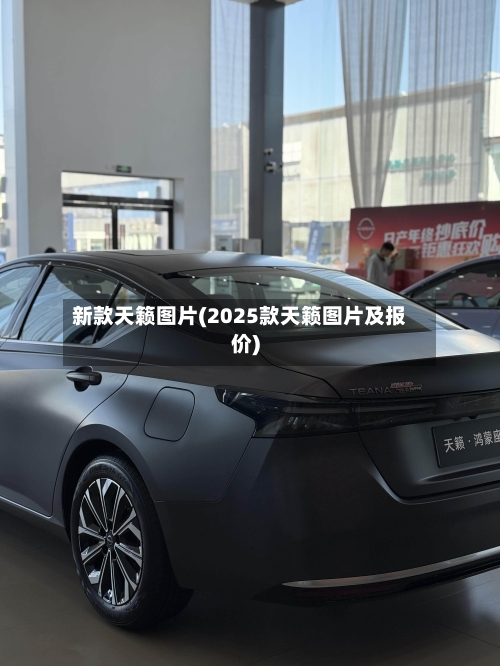 新款天籁图片(2025款天籁图片及报价)-第3张图片
