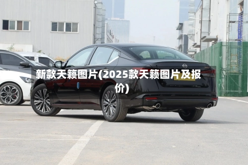 新款天籁图片(2025款天籁图片及报价)-第2张图片