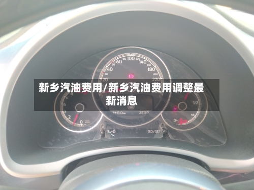 新乡汽油费用/新乡汽油费用调整最新消息