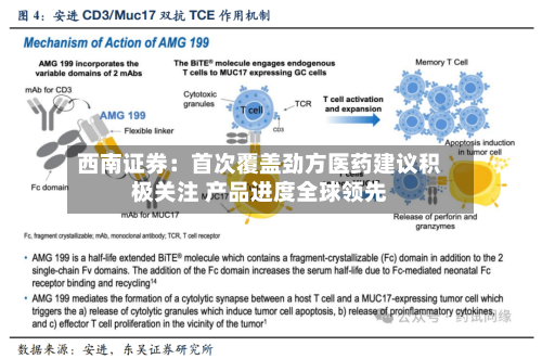 西南证券：首次覆盖劲方医药建议积极关注 产品进度全球领先-第2张图片