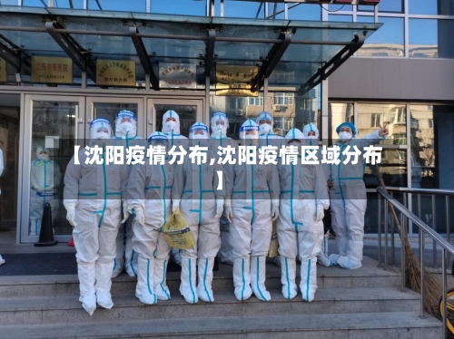 【沈阳疫情分布,沈阳疫情区域分布】