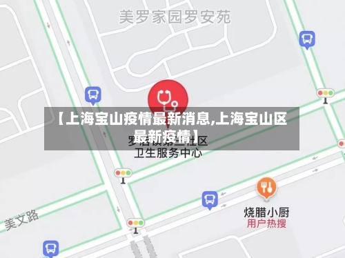 【上海宝山疫情最新消息,上海宝山区最新疫情】-第2张图片