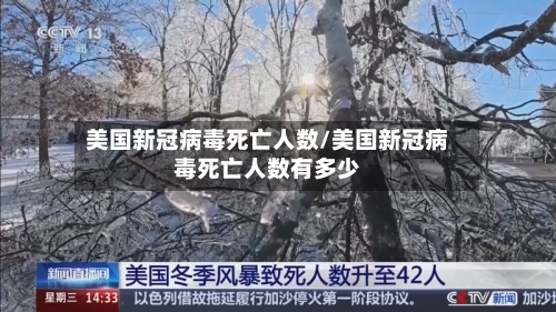 美国新冠病毒死亡人数/美国新冠病毒死亡人数有多少
