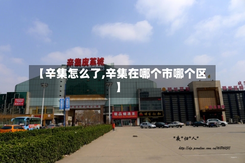 【辛集怎么了,辛集在哪个市哪个区】