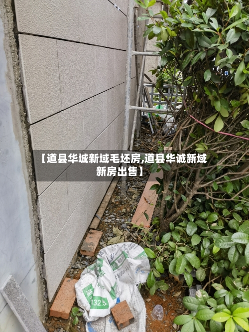 【道县华城新域毛坯房,道县华诚新域新房出售】-第3张图片