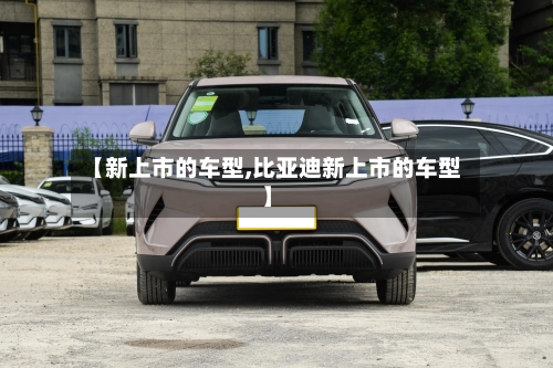 【新上市的车型,比亚迪新上市的车型】
