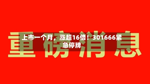 上市一个月，涨超16倍！301666紧急停牌-第2张图片